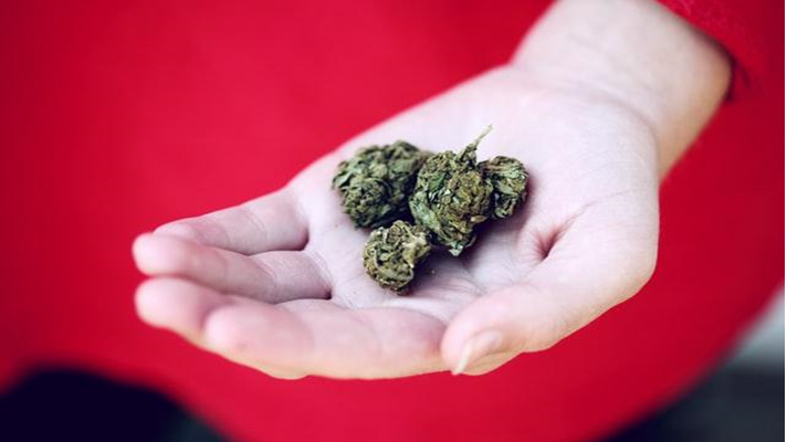 Cannabis Treat Mental Health Conditions